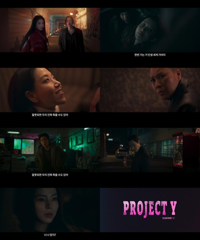 프로젝트Y