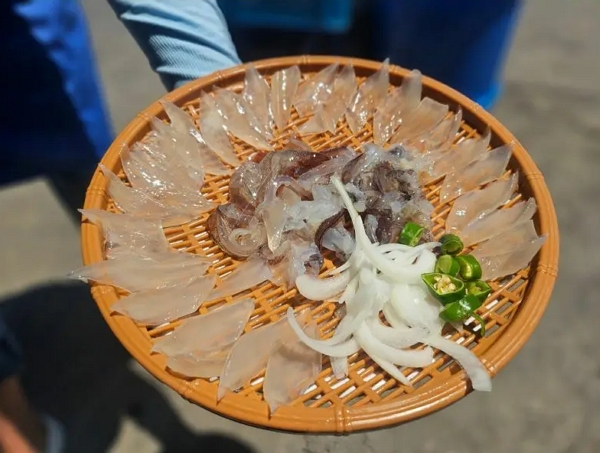 속초 '오징어 난전' 식당이 바가지요금으로 논란이 되고 있다. 사진은 오징어 난전에서 주문한 5만6000원짜리 오징어 회. /사진=속초시청 자유게시판 캡처