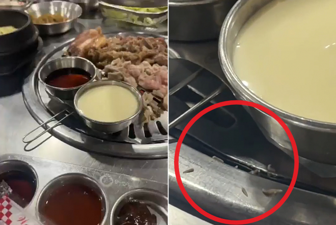 한국식 바비큐를 판매하는 한 식당 테이블 불판에서 구더기가 기어다니는 영상이 올라와 논란이 일고 있다. /사진=틱톡 영상캡