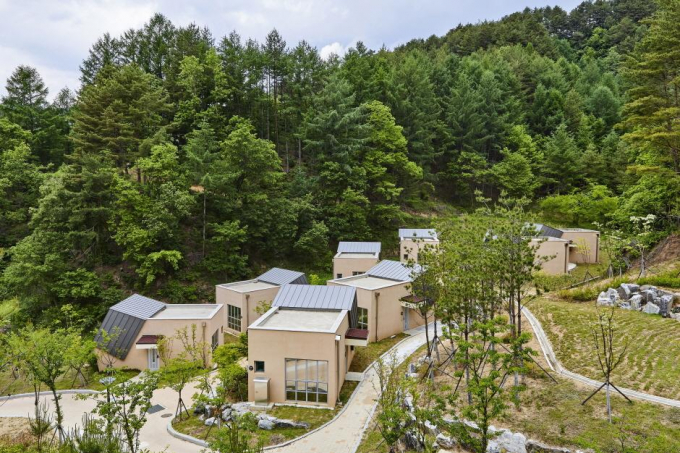  금강송 에코리움에 머물면 엄격하게 관리돼 온 소광리 솔숲을 오롯이 즐길 수 있다. /사진=한국관광공사