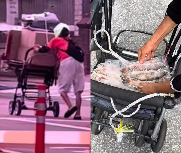 20대 청년이 폭염 속 폐지 줍는 할머니를 차에 태워 고물상까지 데려다주는 영상이 훈훈함을 안겼다. 사진은 폭염 속 폐지를 줍는 할머니(왼쪽)와 생선 선물을 받은 모습. /사진=수산한청년 인스타그램 캡처