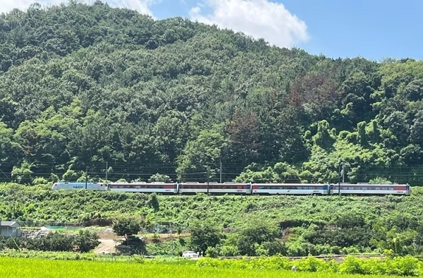 19일 오전 11시40분쯤 경북 청도군 청도소싸움 경기장 인근 경부선 철로에서 마산으로 향하던 무궁화 열차가 선로에서 작업하던 근로자 7명을 치었다. 사진은 현장 모습. /사진=뉴스1