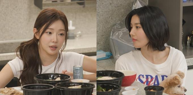 MBC '전지적 참견 시점'