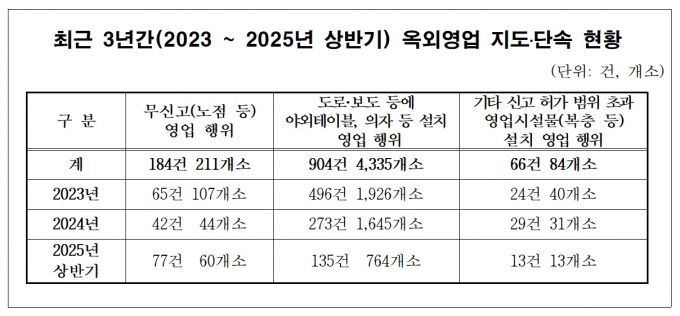 최근 3년간 옥외영업 지도·단속 현황. /자료제공=성남시의회