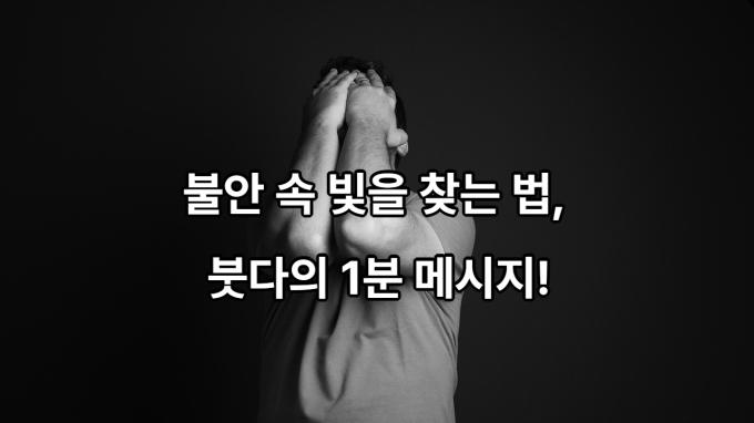 법구경 : 마음에게 말을 걸다