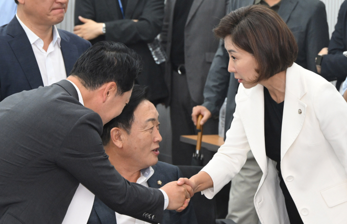 나경원 국민의힘 의원이 28일 이재명정부와 여당이 중점적으로 있는 힘을 싣고 있는 주요 법안들에 대해 모든 역량을 집중해 막겠다고 전했다. 사진은 지난 14일 나경원 국민의힘 의원(오른쪽)이 서울 여의도 중앙당사에서 열린 긴급 의원총회에서 장동혁 당시 당대표 후보와 악수하고 있는 모습. /사진=뉴시스(공동취재)