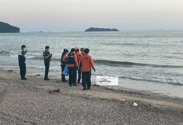 충남 태안 꽃지해수욕장 해변에서 하반신만 있는 사체가 발견돼 해경이 수사에 들어간 사실이 뒤늦게 알려졌다. 사진은 충남 태안 꽃지해수욕장 해변에서 해경과 소방대원이 사체를 수습하는 모습. /사진=뉴시스
