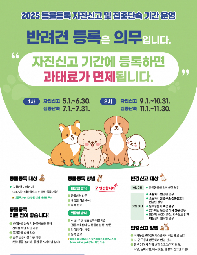 '2025 동물등록 자진신고 및 집중단속 기간 운영'안내문. /사진제공=가평군