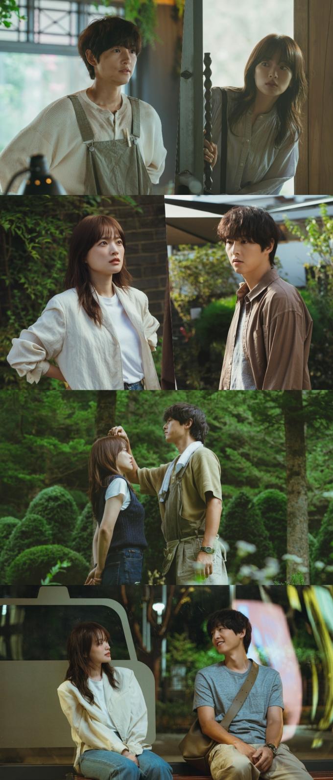JTBC '마이 유스'
