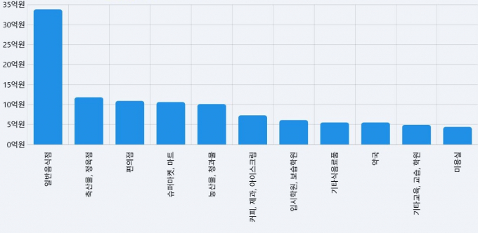 안양사랑페이 소비쿠폰 업종별 사용 현황(7월 21일~8월 17일) /자료=안양시