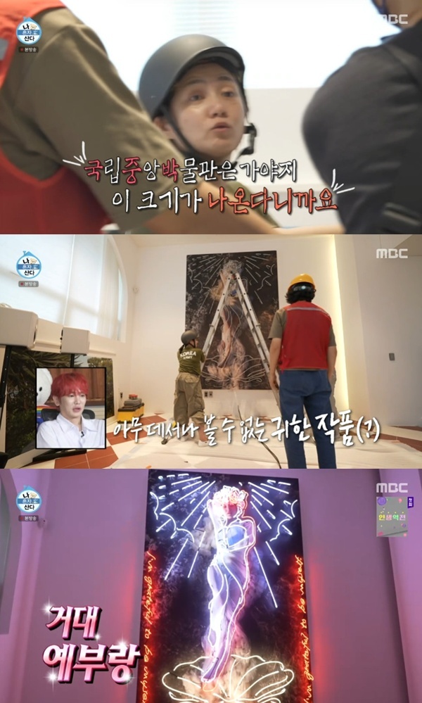 MBC '나 혼자 산다'