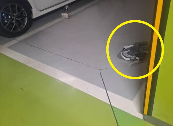서울 강서구 한 아파트 주차장에서 바지와 신발을 벗고 노상방뇨를 하는 모습이 포착돼 논란이다. 사진은 노상방뇨 한 남성의 것으로 보이는 바지. /사진=보배드림 캡처 