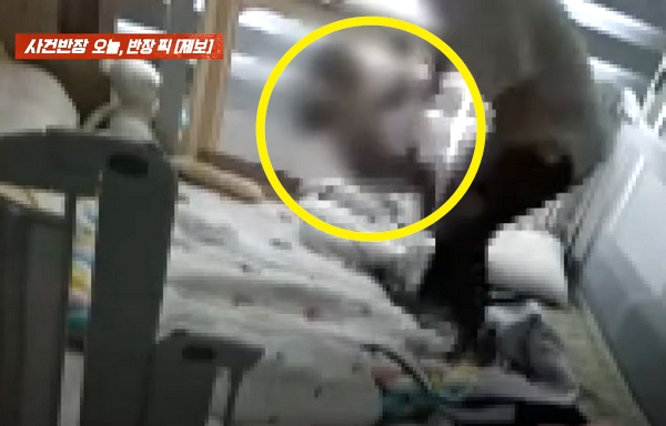 정부지원 아이 돌봄 서비스를 통해 소개 받은 여성이 8개월 아기를 학대하는 사건이 발생했다. 사진은 정부지원 아이 돌보미 여성이 8개월 아기를 던지는 모습. /사진=JTBC '사건반장' 캡처