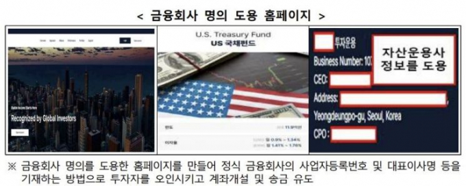 금융회사 명의 도용 홈페이지 사례/사진=금융감독원