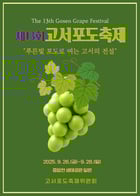                                                                   제13회 담양고서포도축제 홍보물