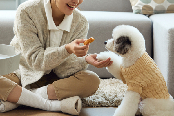 결혼 후 '월 150만원' 반려견 유치원 보낸다는 여친… 