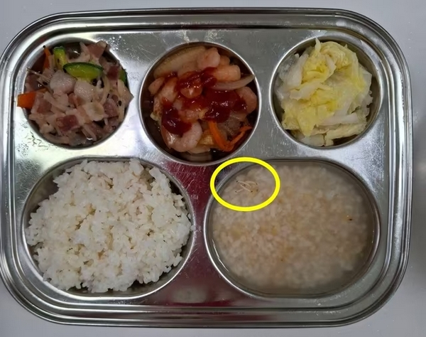 경기도 평택시 한 어린이집 급식에서 벌레 유충이 발견됐다. 사진은 경기도 평택 한 어린이집 급식에 벌레 유충이 떠있는 모습. /사진=SNS 캡처