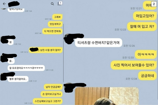 여자 초등학생에게 잠옷 사진 등을 요구한 남성이 400만원의 구약식 처분을 받았다. 사진은 남성이 초등학교 여학생과 나눈 메시지. /사진=온라인커뮤니티 캡처