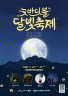                                                                                       2025 영암 늦반딧불 달빛축제 홍보물