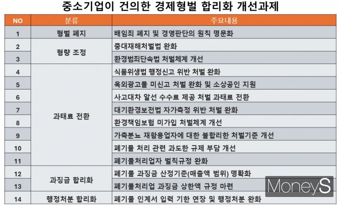  중소기업이 건의한 경제형벌 합리화 개선과제. /그래픽=황정원 기자