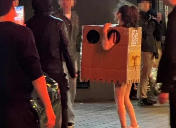 번화가에서 알몸에 박스만 걸친 채 길거리를 활보하며 자신의 신체를 만지라고 한 여성이 2심에서 징역형의 집행유예를 선고받았다. 사진은 서울 압구정 한 거리에서 박스만 입은 채 활보하는 여성 모습. /사진=뉴스1(온라인커뮤니티 캡처)