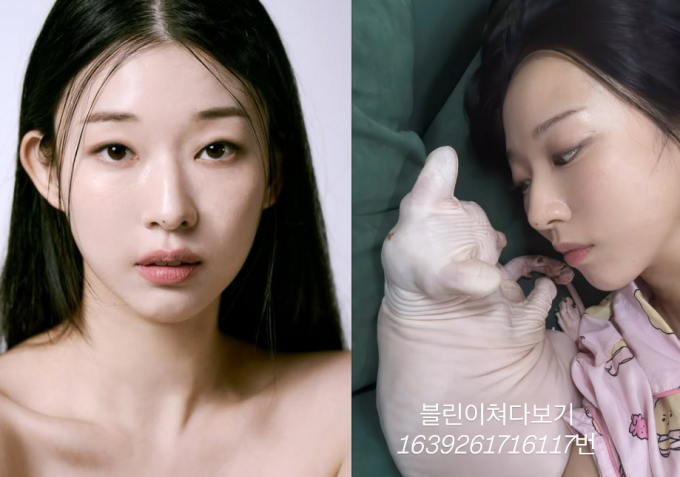 배우 김선아가 지난 22일 자신의 인스타그램에 가수 고 설리의 반려묘 고블린의 근황을 전했다. 사진은 김선아가 고 설리의 반려묘 고블린과 함께 찍은 이미지. /사진=김선아 인스타그램 캡처