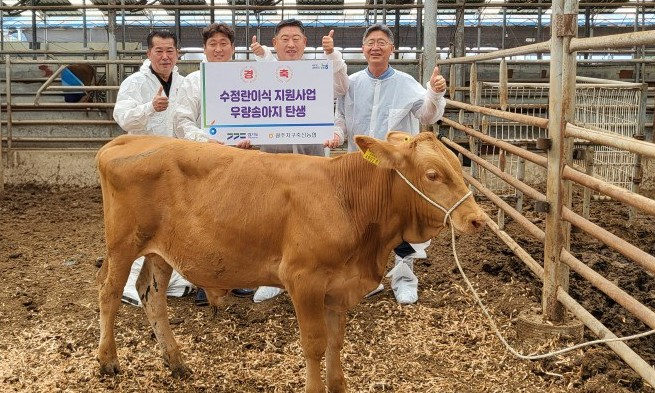 경기축산진흥센터가 만간협력 사업으로 생산한 송아지 모습. /사진제공=경기도 