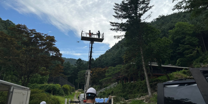 경기도가 드론을 활용해 소나무재선충병 확산 방지 예찰을 실시하는 모습. /사진=경기도