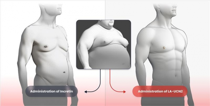 한미약품이 신개념 비만치료제(LA-UCN2, HM17321) 임상 1상을 위한 임상시험계획(IND)을 미국 식품의약국(FDA)에 제출했다. 사진은 HM17321(오른쪽)와 기존 인크레틴 기반 약물의 비만 치료 효능을 비교한 개념도. /사진=한미약품