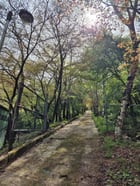 소요 숲 힐링공간 조성사업 대상지. /사진제공=동두천시