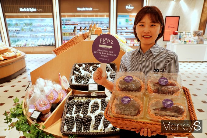 광주신세계 본관 지하 1층 식품관에서 차세대 프리미엄 포도로 불리는 로얄바인 포도를 직원이 선보이고 있다/사진=광주신세계 제공.