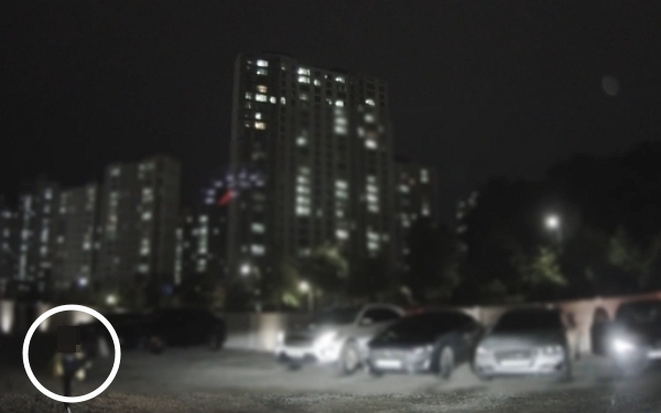 주차된 차에 흠집을 낸 아이가 부모와 함께 보상 없이 현장을 떠났다. 사진은 블랙박스에 담긴 아이가 돌을 차고 노는 모습. /사진=보배드림 캡처