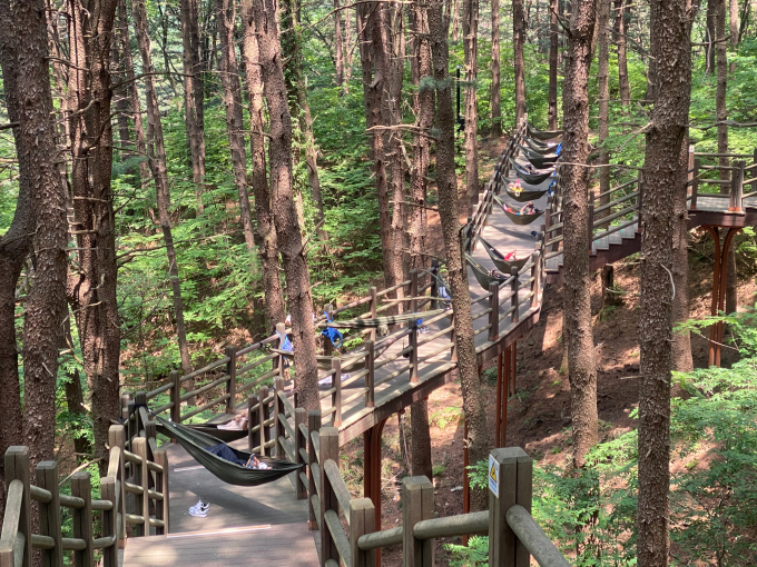 김천시 증산면에 위치한 국립숲체원에서 참가자들이 해먹에 누워 휴식을 취하고 있다. /사진제공=국립김천숲체원