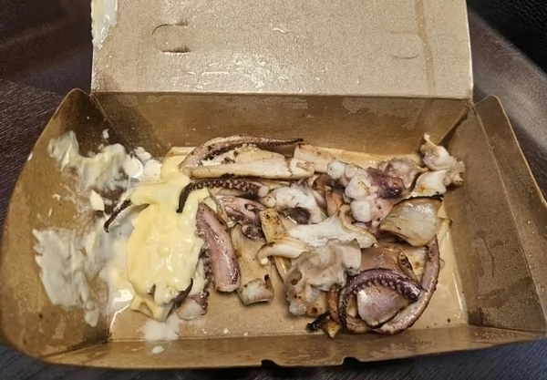 제주 서귀포시를 찾은 관광객이 올레시장 한 점포에서 철판오징어를 구매한 것을 두고 부실 먹거리 논란이 일었다. 사진은 한 관광객이 제주 올레시장에서 구매한 철판 오징어 모습. /사진=온라인커뮤니티