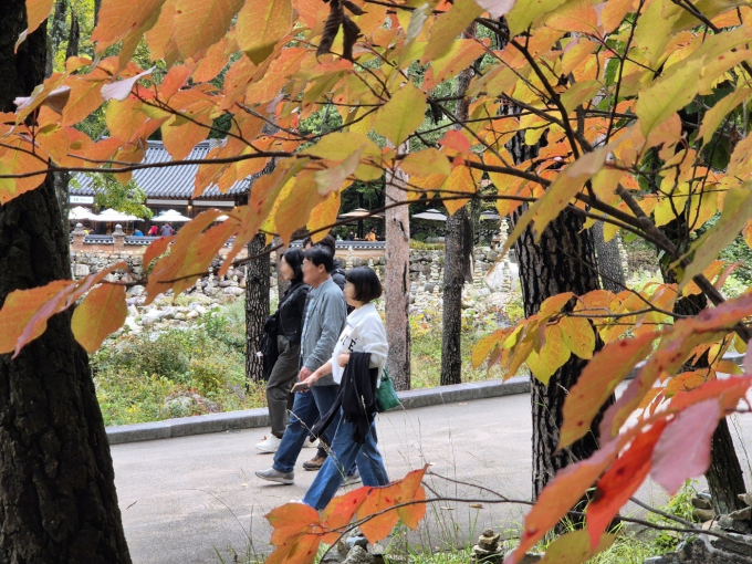 24일 전국 대부분 지역에서 온화한 가을 날씨가 이어질 전망이다. 사진은 지난 23일 강원 속초시 설악산국립공원에서 탐방객들이 산행을 즐기고 있는 모습. /사진=뉴스1