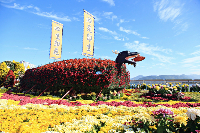 제24회 마산가고파국화축젝 11월 1일 화려하게 개막한다./사진=창원시