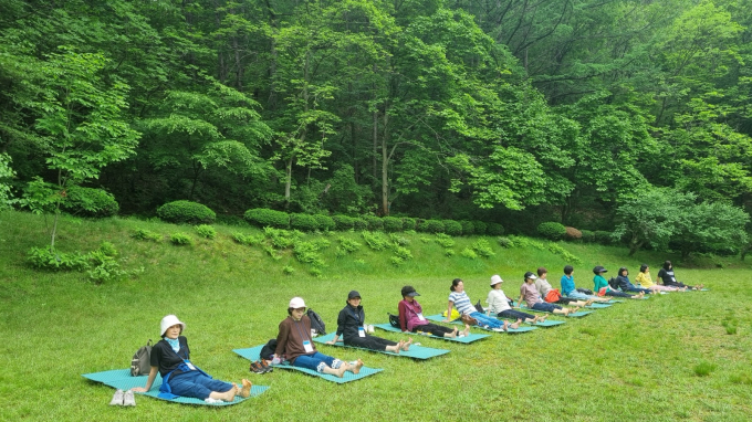안양시에서 운영하는 산림치유 프로그램 모습. /사진제공=안양시