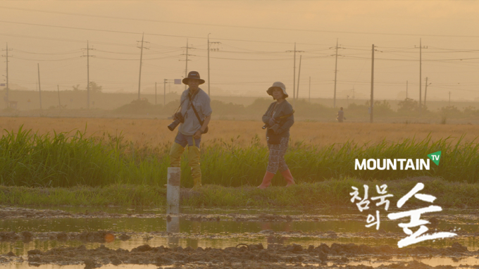 마운틴TV '침묵의 숲'이 연말 방송을 앞두고 제작 비화를 공개했다. /사진=마운틴TV 제공