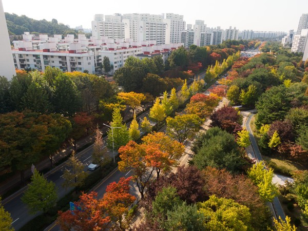 평택시 국도1호선 가로숲길. /사진제공=평택시