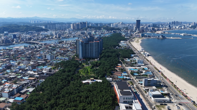 송도솔밭 도시숲 전경. /사진제공=포항시 
