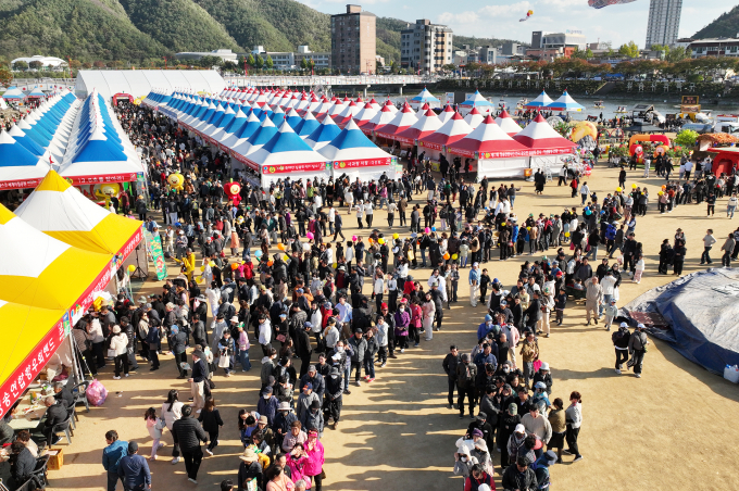 제19회 청송사과축제장 모습. /사진제공=경북 청송군