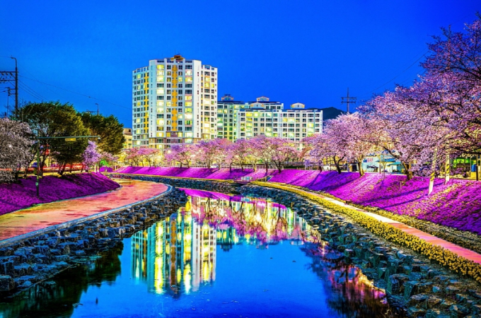 순창읍 남계리 경천에 조성된 꽃잔디 제방과 산책로 전경. /사진제공=순창군