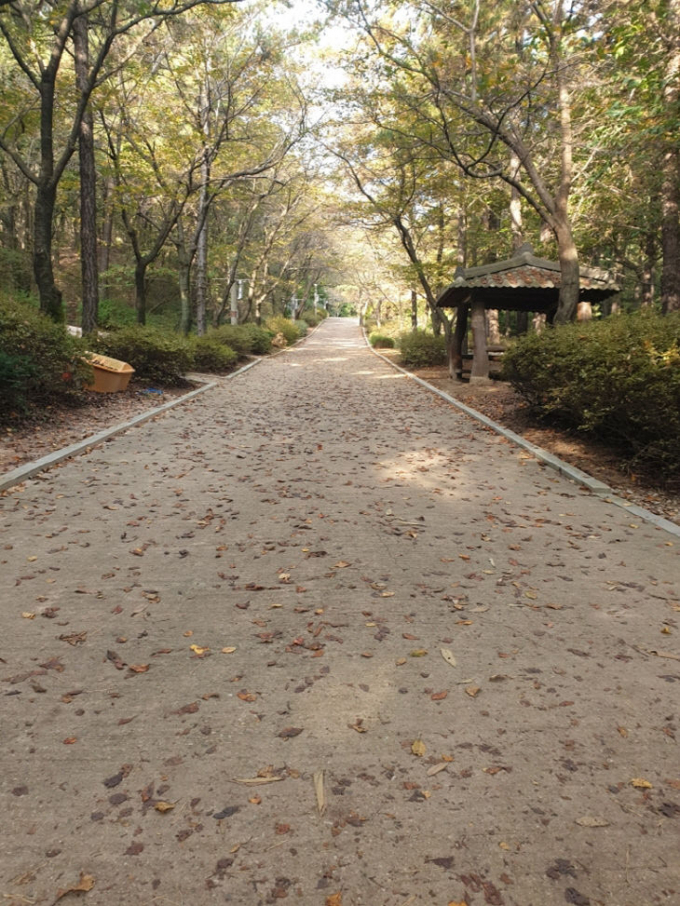 의정부시가 추천하는 '가을에 걷기 좋은 길' 베스트에 선정된 직동근린공원. /사진제공=의정부시