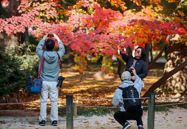 절기상 입동(立冬)인 지난 7일 서울 종묘를 찾은 시민들이 단풍과 함께 추억을 만들고 있다. /사진=뉴스1 김진환 기자