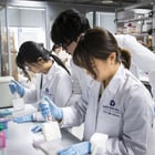 대학생 바이오 인턴십 현장 활동 모습. /사진제공=성남시 