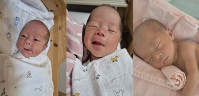 지난 4일 동두천시에서 태어난 세쌍둥이. /사진제공=동두천시