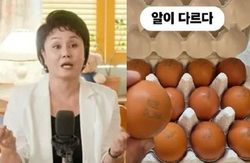 방송인 이경실(59)의 달갈 사업 관련 비판 여론이 일고 있다. /사진=이경실 유튜브, 조혜련 인스타그램