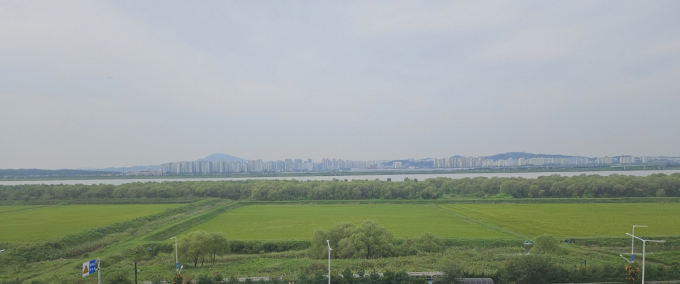 장항습지 전경. /사진제공=고양특례시