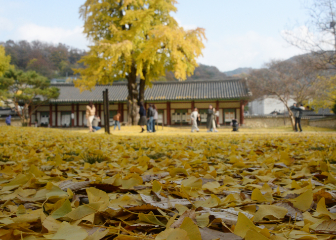 오는 20일 전국이 대체로 맑은 늦가을 날씨가 예상된다. 사진은 지난 20일 전북 전주시 전주향교. /사진=뉴시스