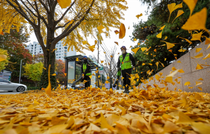 오는 23일은 큰 일교차가 발생할 것으로 보인다. 사진은 지난 17일 대구 달서구 거리의 모습. /사진=뉴시스     